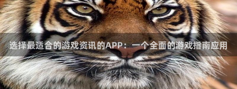 鼎点娱乐下载链接：选择最适合的游戏资讯的APP：一个全面的游