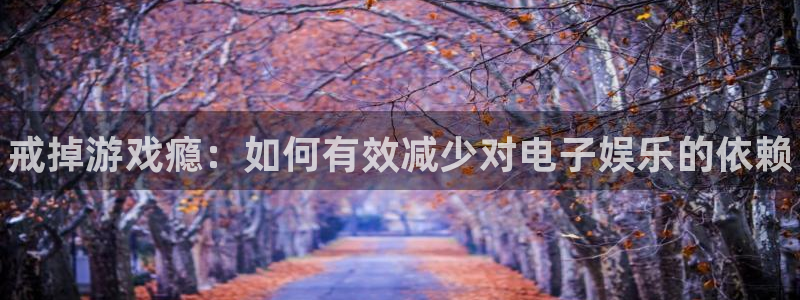 鼎点娱乐娱乐是真的吗：戒掉游戏瘾：如何有效减少对电子娱乐的依