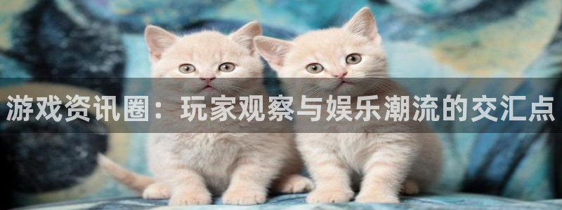鼎点娱乐线路测试：游戏资讯圈：玩家观察与娱乐潮流的交汇点