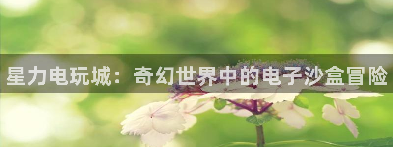 鼎点娱乐平台登录：星力电玩城：奇幻世界中的电子沙盒冒险