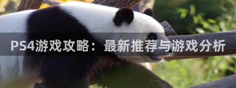 鼎点娱乐注册服务条款：PS4游戏攻略：最新推荐与游戏分析