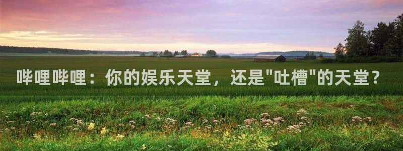鼎点娱乐平台：哔哩哔哩：你的娱乐天堂，还是\