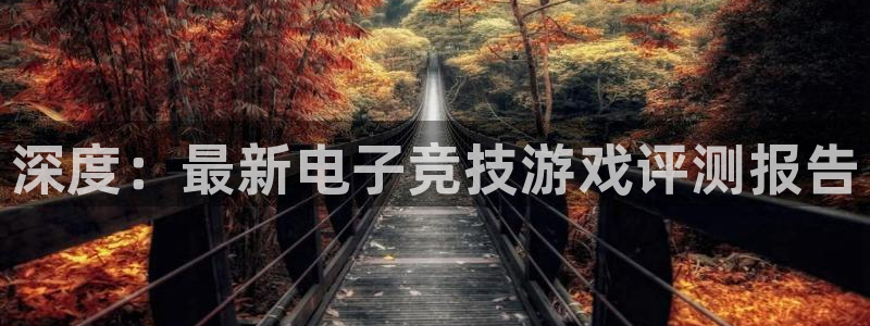 鼎点娱乐注册官方登录app：深度：最新电子竞技游戏评测报告