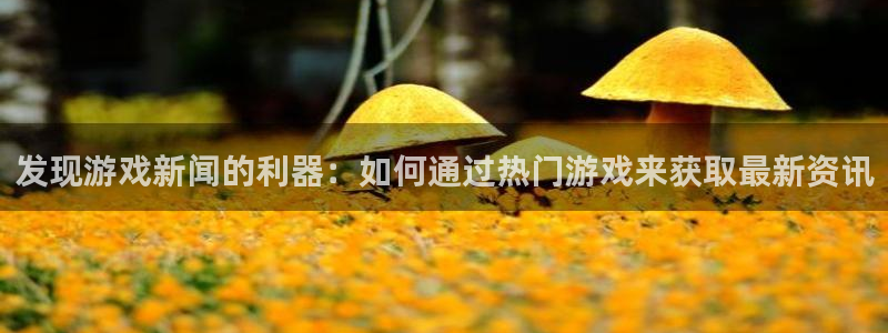 鼎点娱乐2登录：发现游戏新闻的利器：如何通过热门游戏来获取最