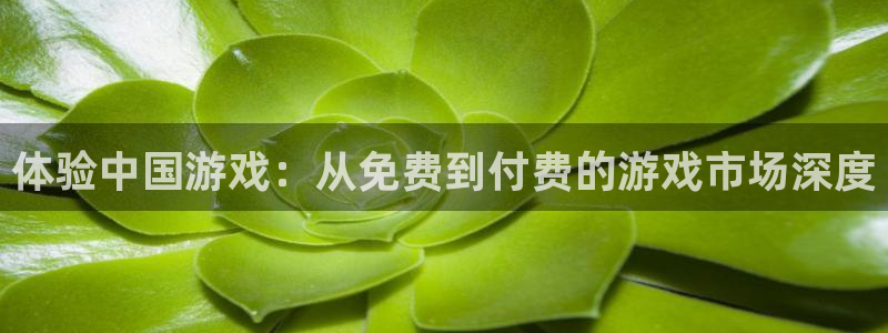 鼎点娱乐手机网页版登录：体验中国游戏：从免费到付费的游戏市场