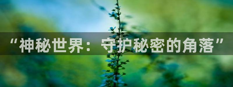 鼎点娱乐在线登录：“神秘世界：守护秘密的角落”