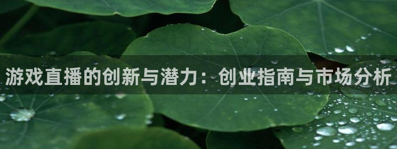 鼎点娱乐app下载地址：游戏直播的创新与潜力：创业指南与市场