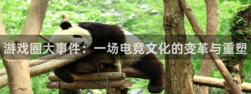 鼎点娱乐官方登录网址