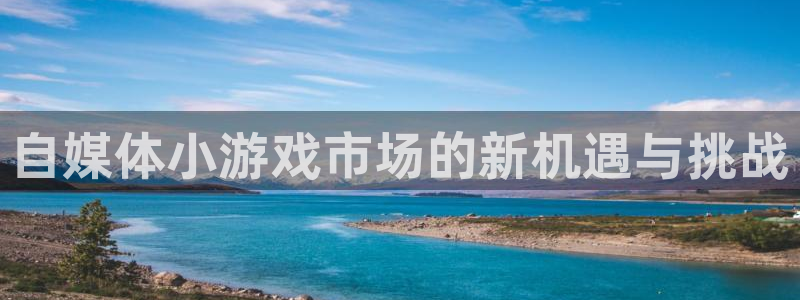 鼎点娱乐网页版地址：自媒体小游戏市场的新机遇与挑战