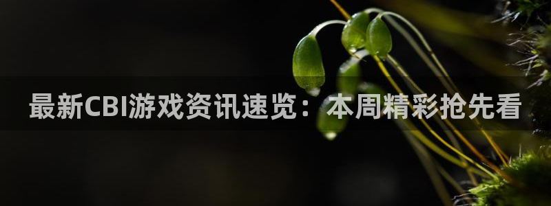 鼎点娱乐注册开户：最新CBI游戏资讯速览：本周精彩抢先看
